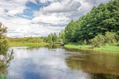 Ormandaki nehir, ormandaki manzara, ormandaki en yüksek nehir.