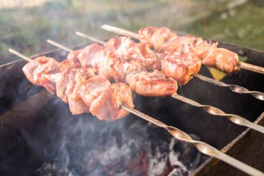 Izgarada barbekü, ızgarada barbekü, güneşli bir günde.