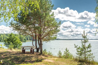 Ormandaki göl manzarası. Ormandaki ahşap bir masa, piknik masası olan bir göl. Güneşli bir günde.