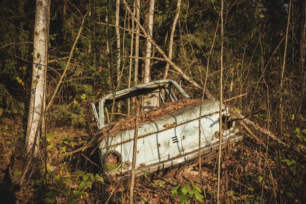 Старый Автомобиль Брошен Лесу Старый Автомобиль Лесу — стоковое фото