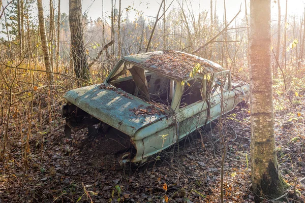 Altes Auto Wald Zurückgelassen Altes Auto Wald — Stockfoto