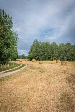 Güneşli bir günde, tarlada saman yığınları biçmek. Güzel arazi manzarası