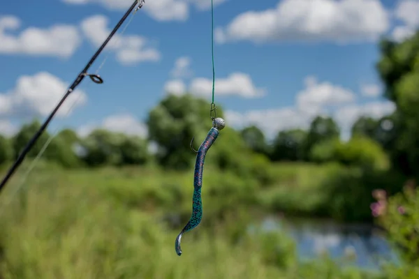 Cebo Pesca Silicona Cebo Pesca Silicona Una Línea Pesca Contra — Foto de Stock