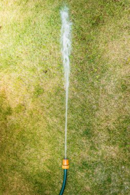 Yeşil çimlerin üzerinde su jeti ve hortumlu hortum. Üst görünüm.