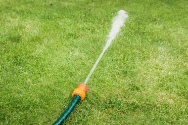 Su püskürten hortum / çimenlere su basan hortum