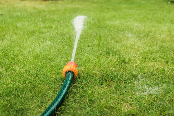 Schlauch Mit Wasserstrahl Schlauch Mit Wasserdruck Auf Dem Rasen — Stockfoto