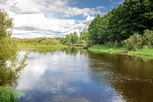 river in the forest/landscape of the river in the forest in summe