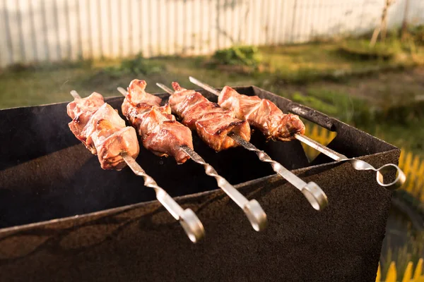 Carne Espetada Espeto Para Grelhar Grelhar Carne Dia Sol — Fotografia de Stock