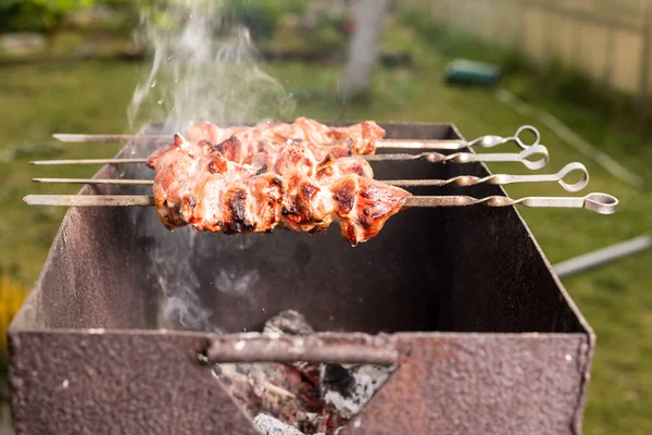 Grill Grillu Słoneczny Dzień Mięso Szpikulcu Grillowania Grillu Słoneczny Dzień — Zdjęcie stockowe