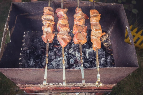 Churrasco Grelha Dia Ensolarado Carne Espetada Espeto Para Grelhar Uma — Fotografia de Stock