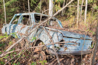 Ormanda terk edilmiş eski bir araba. Ormanı kirleten terk edilmiş eski bir araba.