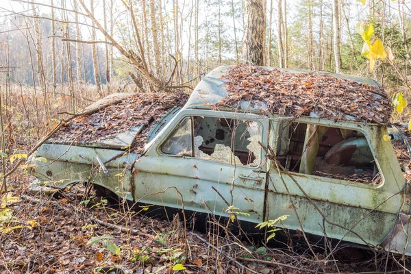 Altes Auto Wald Zurückgelassen Verlassenes Altes Auto Verschmutzt Den Wald — Stockfoto