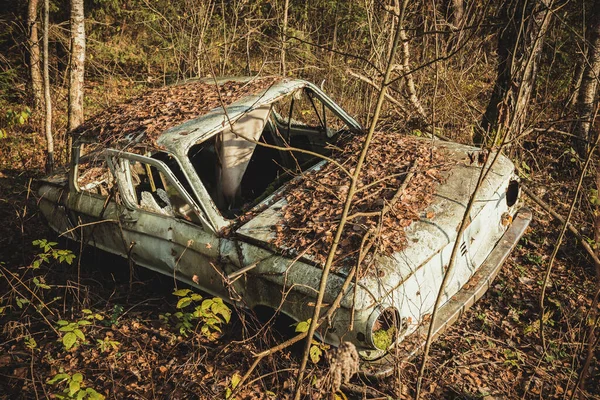 Старий Автомобіль Покинутий Лісі Покинутий Старий Автомобіль Засипає Ліс — стокове фото