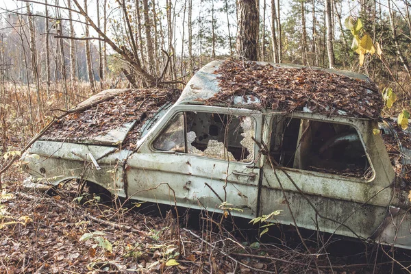 old car abandoned in the forest/abandoned old car littering the forest