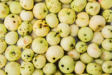 Taze elmalardan arkaplan / arkaplan olarak olgun elmalar. Kapat.