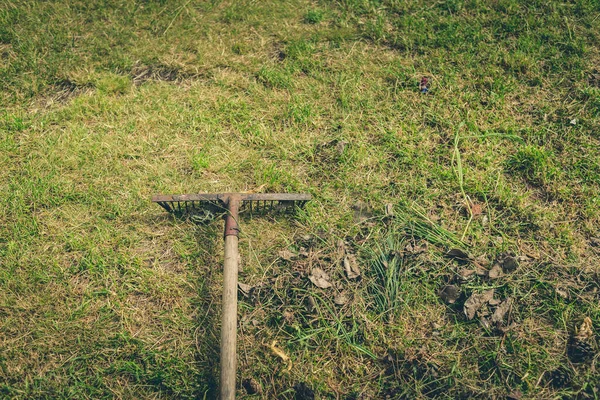 Rengöringsblad Med Krattor Grönt Gräs Gamla Krattor Mitt Grönt Gräs — Stockfoto