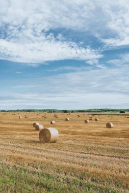 Güneşli bir günde, tarlada saman yığınları biçmek. Güzel arazi manzarası