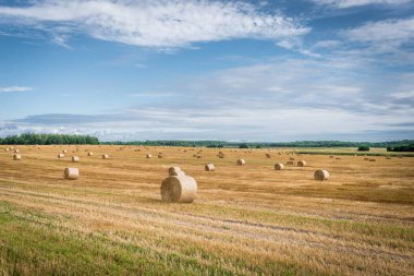Güneşli bir günde, tarlada saman yığınları biçmek. Güzel arazi manzarası
