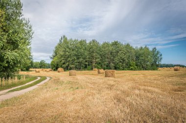Güneşli bir günde, tarlada saman yığınları biçmek. Güzel arazi manzarası