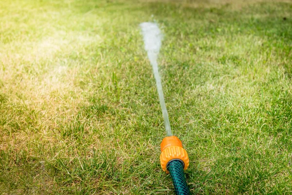 Schlauch Mit Wasserstrahl Schlauch Mit Wasserdruck Auf Dem Rasen — Stockfoto