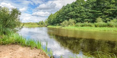 Ormandaki nehir, ormandaki manzara, ormandaki en yüksek nehir.