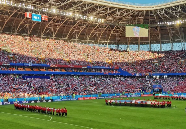 FIFA 2018 maç Danimarka-Peru Saransk Stadyumu, Russia.16.06.2018