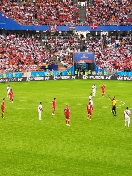 FIFA 2018 maç Danimarka-Peru Saransk Stadyumu, Russia.16.06.2018