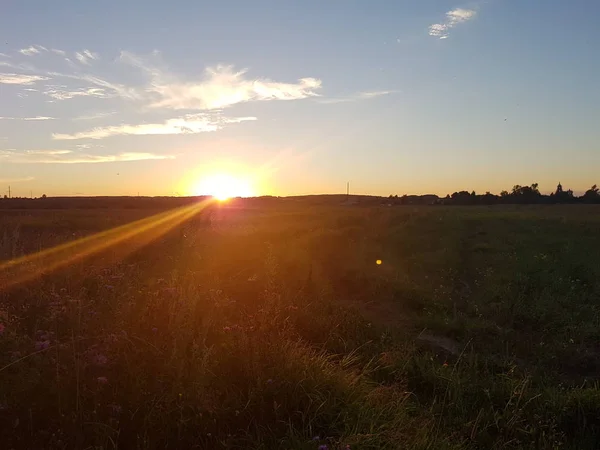 Sonnenuntergang Auf Dem Feld — Stockfoto