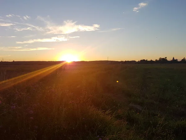 Pôr Sol Campo — Fotografia de Stock