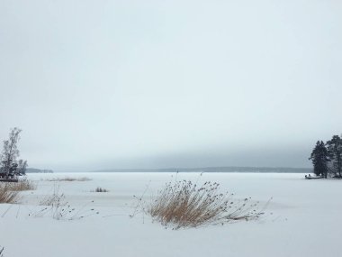 Rus kış doğa manzarası