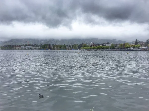 Landskap Rhein Vattenfall Schweiz — Stockfoto