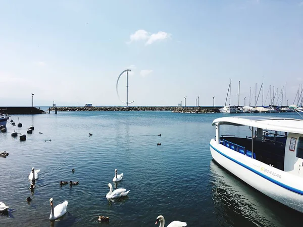 瑞士洛桑湖景 — 图库照片