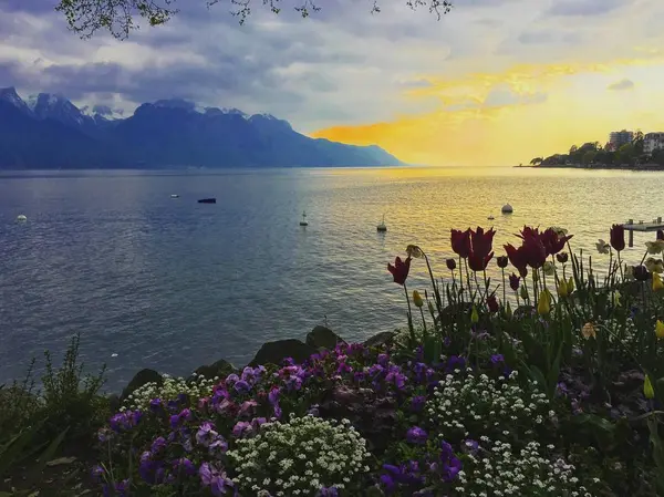 Pemandangan Danau Jenewa Montreux Swiss — Stok Foto