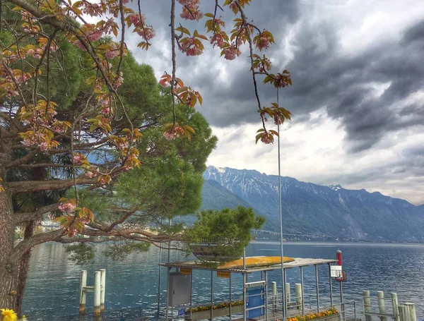 Vista Lago Ginebra Montreux Suiza — Foto de Stock