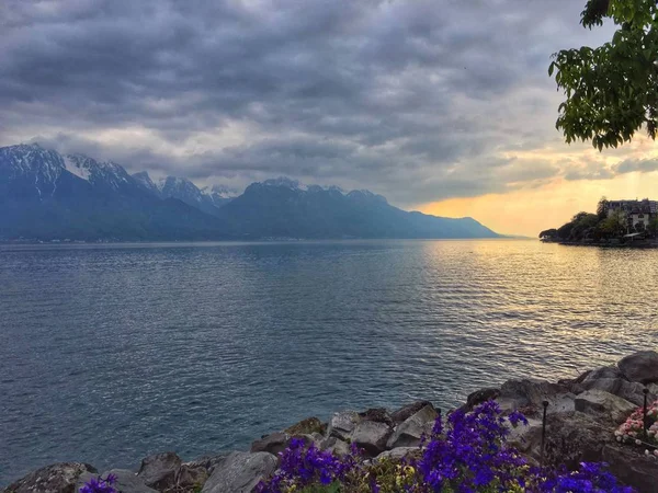 Genève Sjöutsikt Montreux Schweiz — Stockfoto
