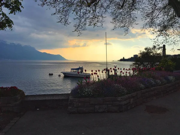 Vista Lago Ginebra Montreux Suiza — Foto de Stock