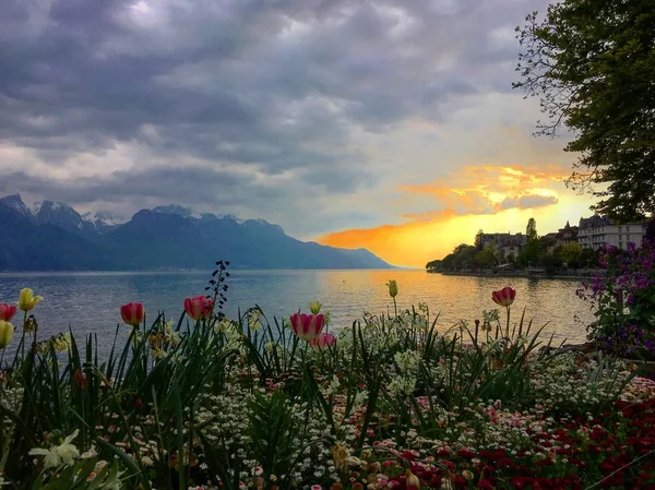 Θέα Στη Λίμνη Της Γενεύης Στο Montreux Ελβετία Εικόνα Αρχείου