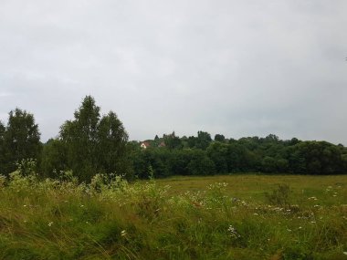 Rusya'da yaz manzara