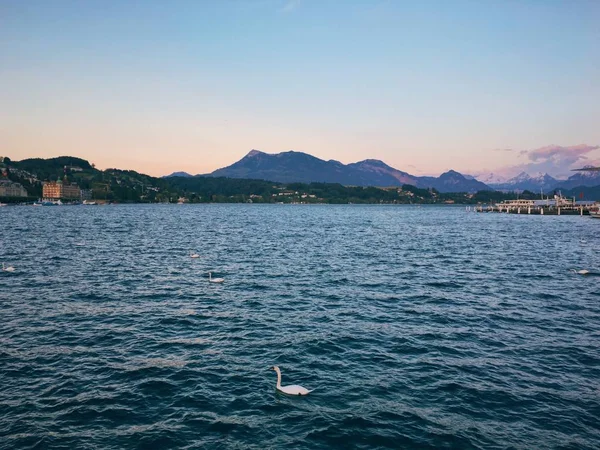 Luzerni Táj — Stock Fotó