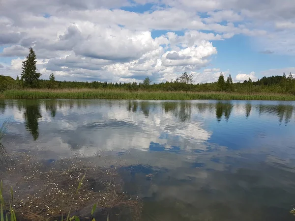 Shore Lake — Stock Photo, Image