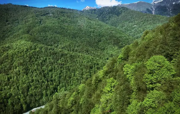 Dağ manzara Rusya'da