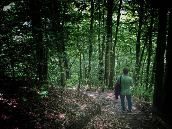 Ormanda yürüyüş.