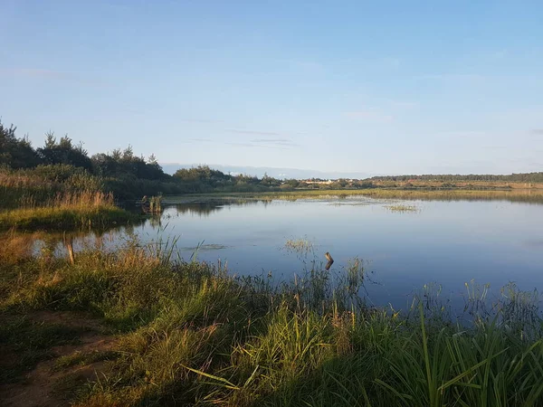 Yaz aylarında göl manzara