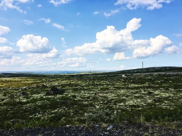 Paesaggio Della Tundra Nel Nord Della Russia — Foto Stock