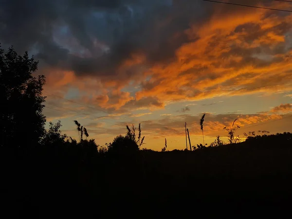 Закатное Небо Лесу — стоковое фото