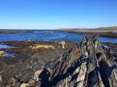 Rusya'nın Kuzey Kutbu shore