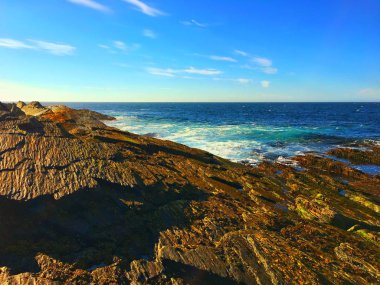 Rusya'nın Kuzey Kutbu shore