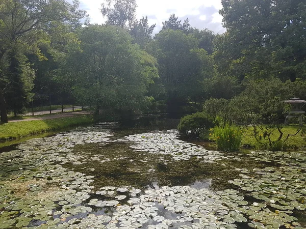 モスクワの公園の風景 ロシア — ストック写真