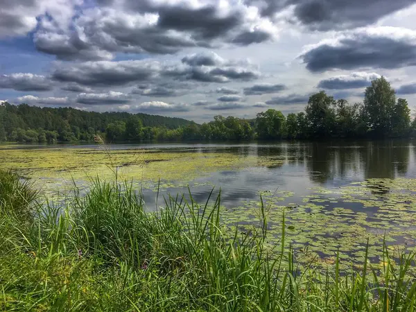 Paysage Lac Été — Photo