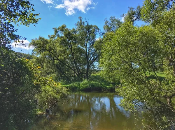 Lake Forest — Stock Photo, Image